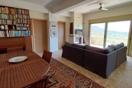 Excellent Stone Villa & Olive Farm For sale in Neapolis Lakonia