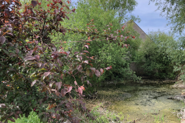 Excellent 8 Bed Farmhouse For Sale In Moisy