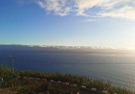 Luxury 4 Bedroom Villa in Ponta do Sol: A Haven of Elegance and Comfort Luxury 4 Bedroom Villa in Ponta do Sol: A Haven of Elegance and Comfort