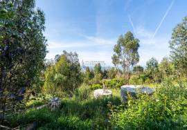 Off-Grid Stone Home with Sea View + Ruins to Rebuild | Monchique, Algarve