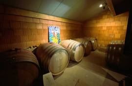 7 room, 123m2 Vineyard for sale in Caux - 895 000 € *