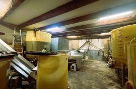 7 room, 123m2 Vineyard for sale in Caux - 895 000 € *