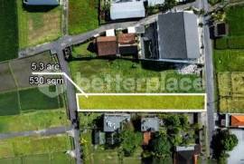 A Rare Coastal Investment in Kedungu: Prime Leasehold 5.3 are Land with Rice Field Views Just Moments from the Beach