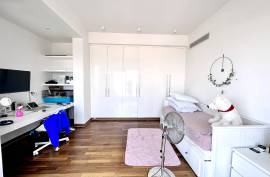 4 Bedroom Villa Plus Studio - Mesogi, Paphos