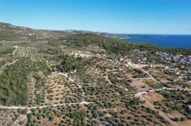 Agricultural 19000 sq.m.