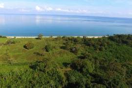 Development Land for Sale in Honduras: 1,000 Feet of Caribbean Beachfront in Trujillo