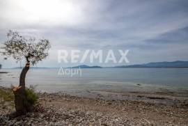 Plot 509 sq.m for sale Plot 509 sq.m for sale