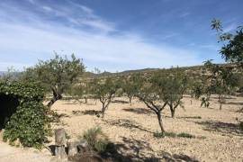 listing listing