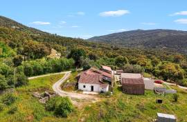Farm with old house with sea view in Monchique