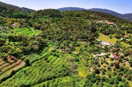 Land for agriculture in Alferce - Monchique