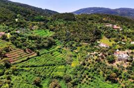 Land for agriculture in Alferce - Monchique