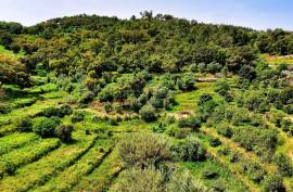 Land for agriculture in Alferce - Monchique