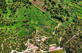Land for agriculture in Alferce - Monchique