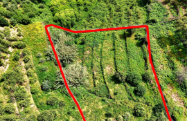 Land for agriculture in Alferce - Monchique