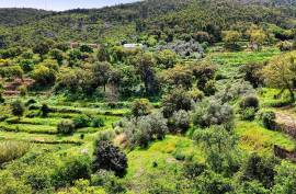 Land for agriculture in Alferce - Monchique