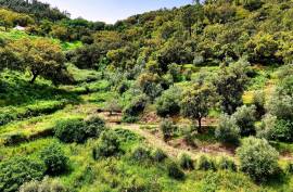 Land for agriculture in Alferce - Monchique