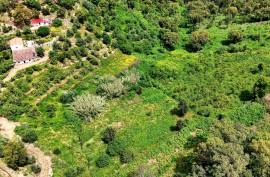 Land for agriculture in Alferce - Monchique