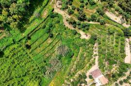 Land for agriculture in Alferce - Monchique