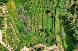 Land for agriculture in Alferce - Monchique