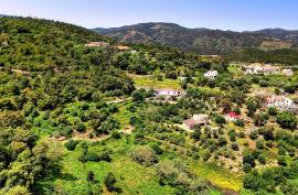 Land for agriculture in Alferce - Monchique