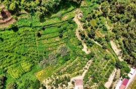 Land for agriculture in Alferce - Monchique