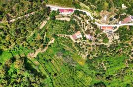 Land for agriculture in Alferce - Monchique