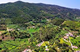 Land for agriculture in Alferce - Monchique