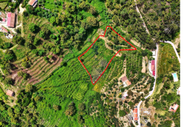 Land for agriculture in Alferce - Monchique