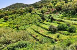 Land for agriculture in Alferce - Monchique