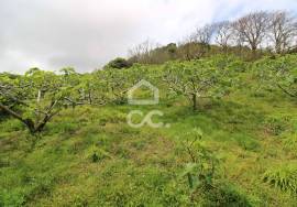 3 Bedroom villa - Ribeira Seca - Vila Franca do Campo