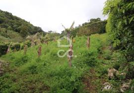 3 Bedroom villa - Ribeira Seca - Vila Franca do Campo