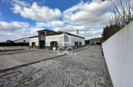 Villa Ribeira Grande RABO DE PEIXE