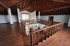Villa Ribeira Grande RABO DE PEIXE