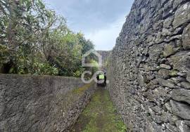 Land with 6600m2 - Capelas - Ponta Delgada