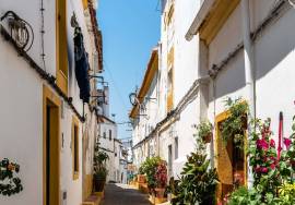 2 bedroom villa on the ground floor in S. Vicente e Ventosa - Elvas - Alentejo