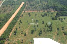 Dual-Aptitude Estate with 1,113 Hectares and Energy Autonomy | Goal, Goiás