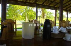 Dual-Aptitude Estate with 1,113 Hectares and Energy Autonomy | Goal, Goiás