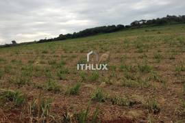 Investment Opportunity: 190 Hectare Estate with Guaranteed Income | Limeira