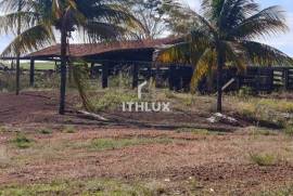 Investment Opportunity: 190 Hectare Estate with Guaranteed Income | Limeira