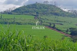 Investment Opportunity: 190 Hectare Estate with Guaranteed Income | Limeira