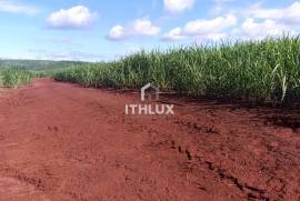 Investment Opportunity: 190 Hectare Estate with Guaranteed Income | Limeira