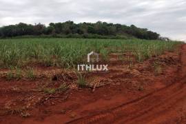 Investment Opportunity: 190 Hectare Estate with Guaranteed Income | Limeira