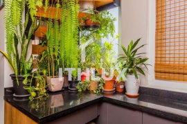 2 bedroom apartment in Porto Alegre