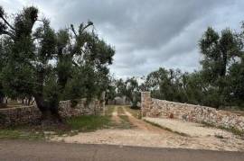 Estate For Redvelopment for Sale In Ceglie Messapica Brindisi Puglia Italy
