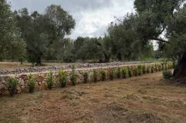 Estate For Redvelopment for Sale In Ceglie Messapica Brindisi Puglia Italy
