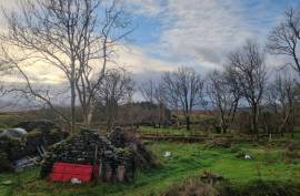 Stunning Irish Cottage For Sale In Aughagower Westport County Mayo Ireland Stunning Irish Cottage For Sale In Aughagower Westport County Mayo Ireland
