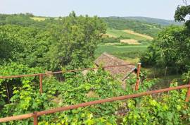 3 bedroom house in Krusedol Irig Serbia located in the foothills of Fruska Gora National Park – Wine Country
