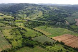 3 bedroom house in Krusedol Irig Serbia located in the foothills of Fruska Gora National Park – Wine Country
