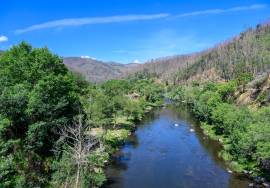 Land Arouca