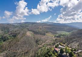 Land Arouca